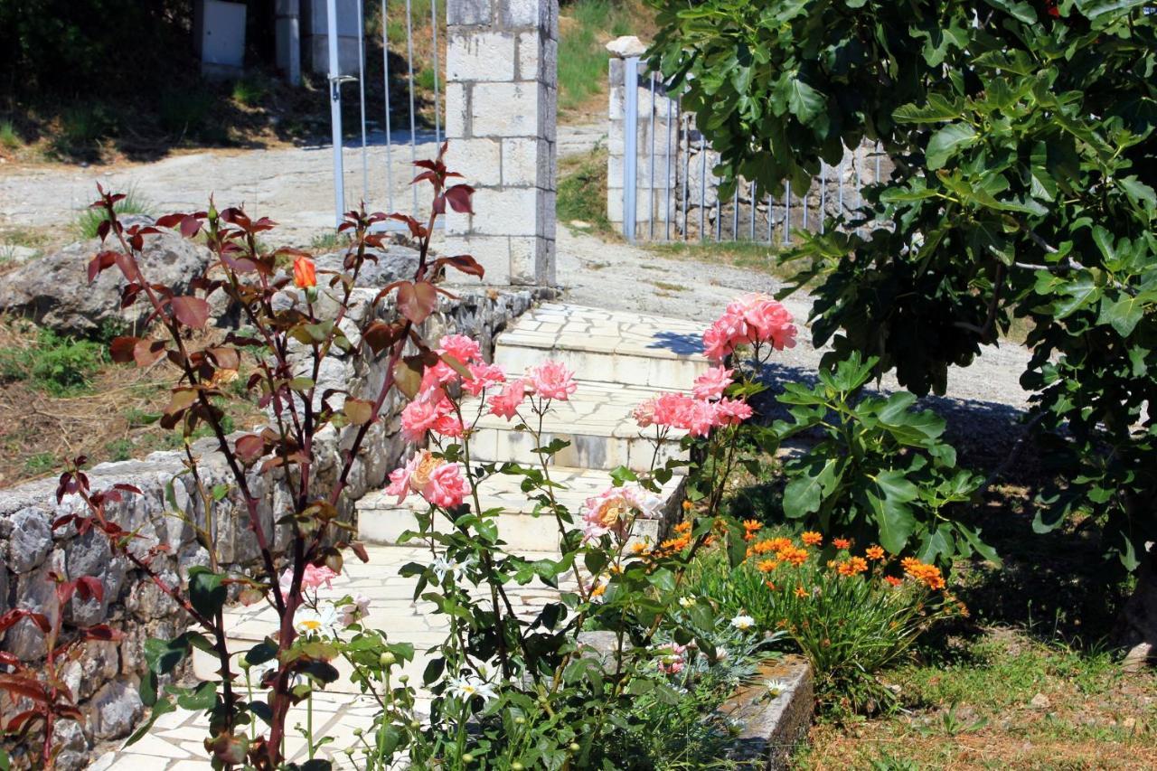 Rooms By The Sea Sladjenovici, Dubrovnik - 2161 Slano Exterior photo